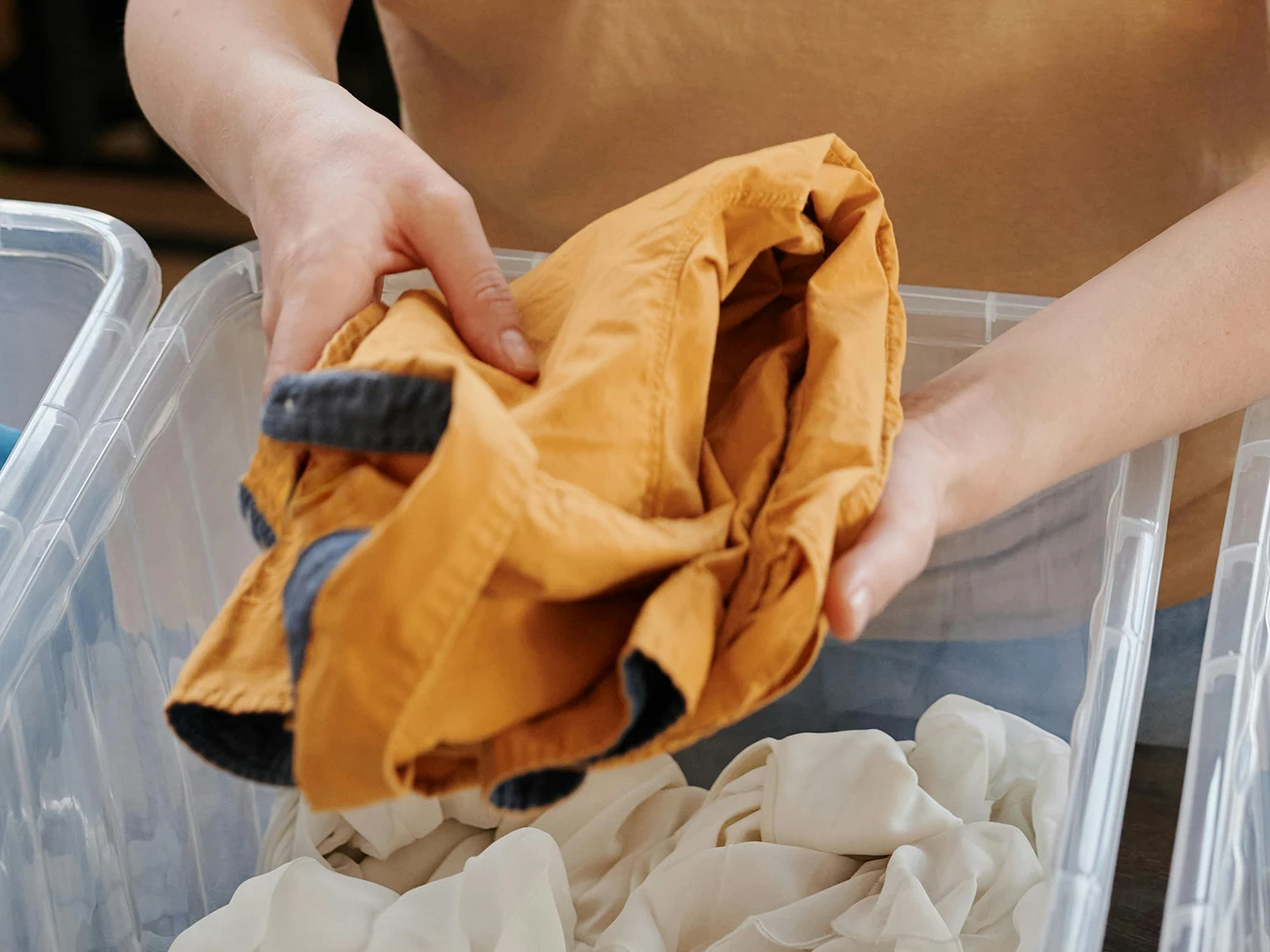 Photo of woman handling a donation